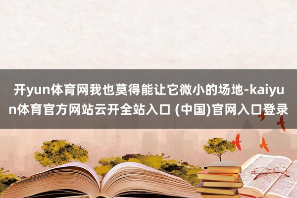 开yun体育网我也莫得能让它微小的场地-kaiyun体育官方网站云开全站入口 (中国)官网入口登录