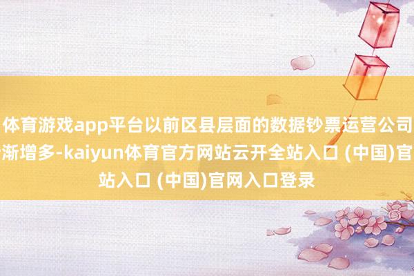 体育游戏app平台以前区县层面的数据钞票运营公司也可能会渐渐增多-kaiyun体育官方网站云开全站入口 (中国)官网入口登录