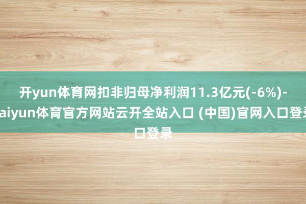 开yun体育网扣非归母净利润11.3亿元(-6%)-kaiyun体育官方网站云开全站入口 (中国)官网入口登录